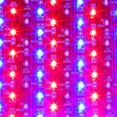 Red LED light
